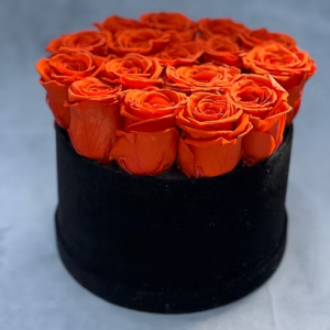 Orange roses